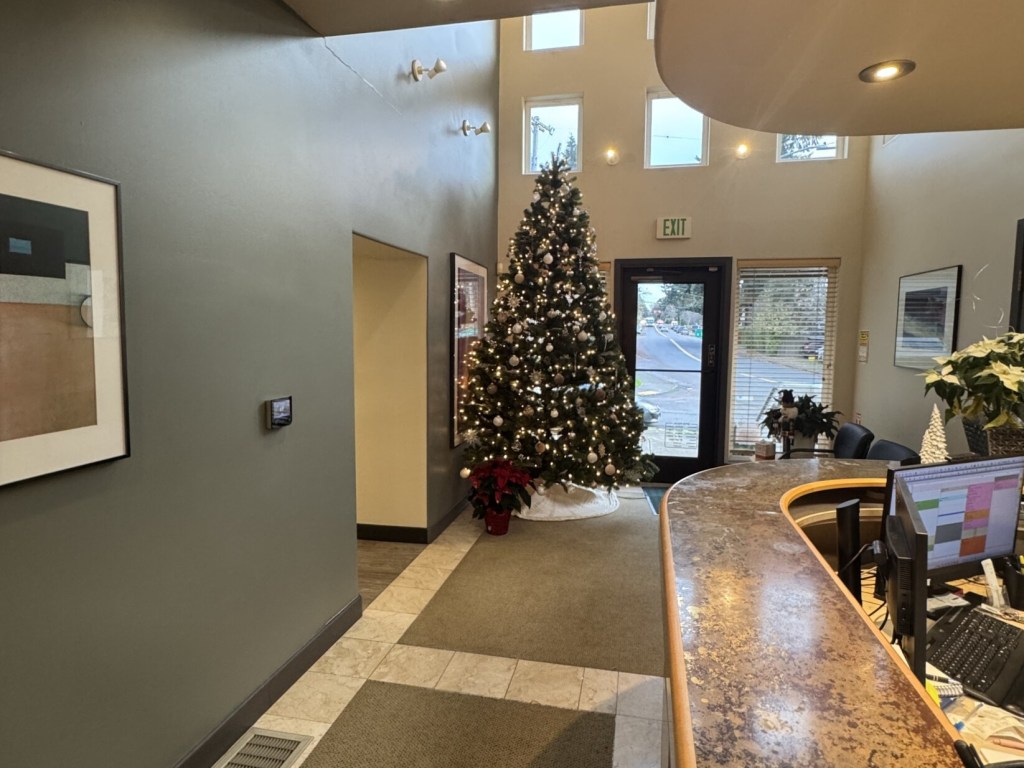 Warm, modern reception with Christmas tree and front desk.