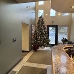 Warm, modern reception with Christmas tree and front desk.